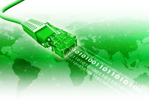 Professional data cabling installation with organized cables